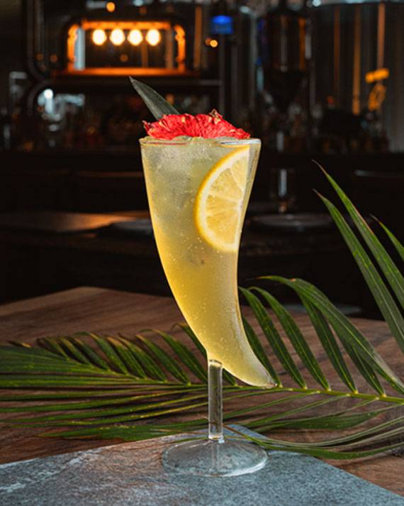 hobombak-web-mixologia-tulum