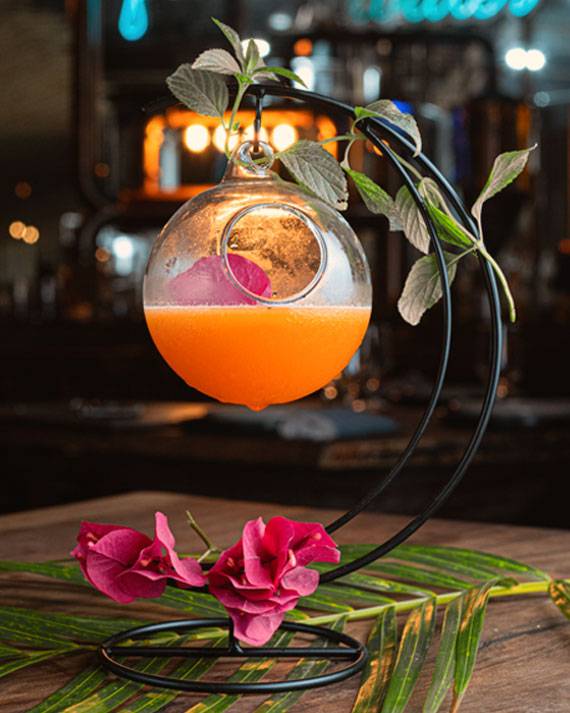 luna-rosa-web-mixologia-tulum