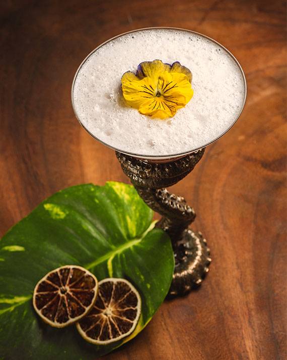 nicte-web-mixologia-tulum